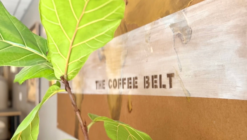 A plant in front of a board that reads "the coffee belt"