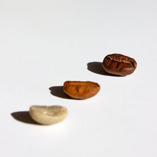 Finding the Perfect Bean for Your Brew: 11 House Roasted Coffees